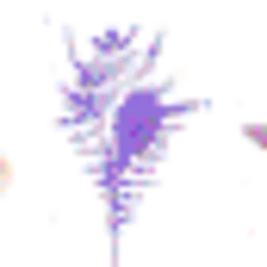 992600d00dbc66b22b947f271eee209c.gif