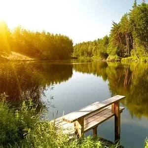 images.webp