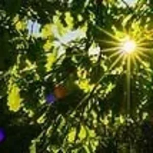 1000049318.webp
