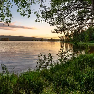 beautiful-shot-lake-with-surrounded-by-trees-sunset.webp