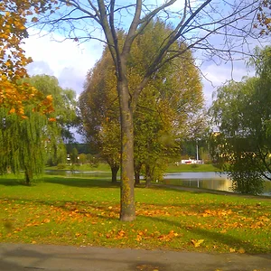 IMAG0061.jpg
