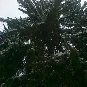 04012013334.jpg
