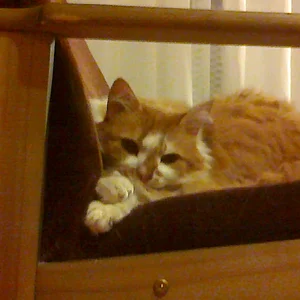 01012013314.jpg