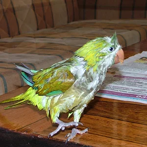 DSCF3057.JPG
