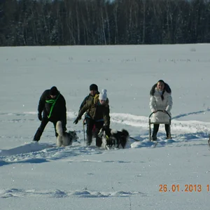 DSCN1062.JPG