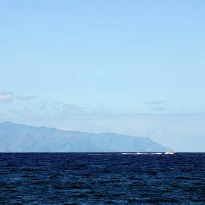 DSC01779-1.jpg