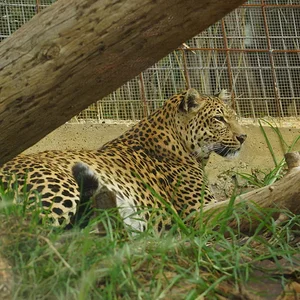 DSC02165-1.jpg