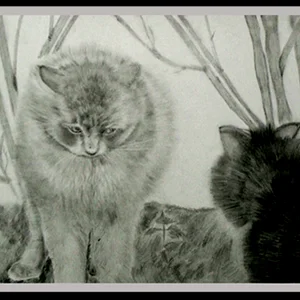коты.gif
