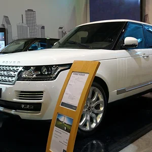 DSC07379-1.jpg