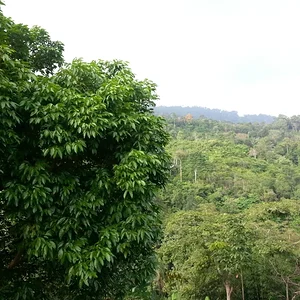 c20130130_084550.jpg