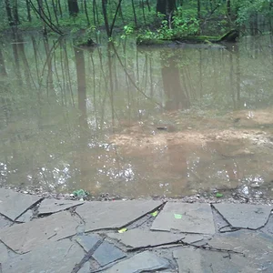 2013-05-29 12.06.54.jpg