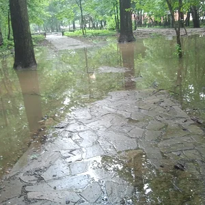 2013-05-29 12.08.28.jpg