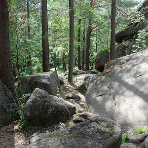 DSC_0219.JPG