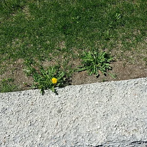 20130623_152243.jpg