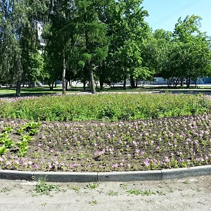 20130623_153230.jpg