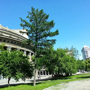 20130623_153256.jpg