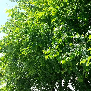 20130623_153401.jpg