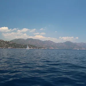IMG_8024.JPG