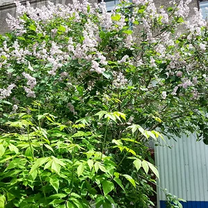 20130630_150601.jpg