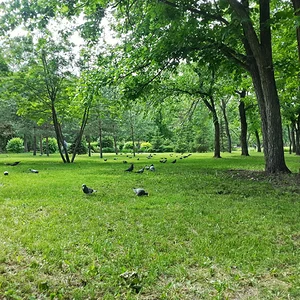 20130630_151020_HDR.jpg
