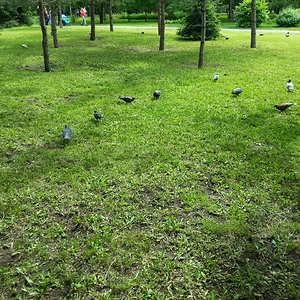20130630_151249.jpg