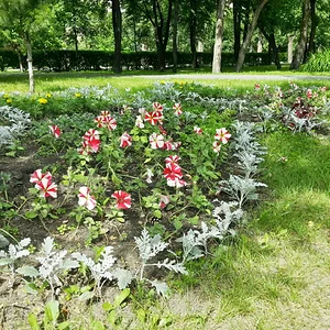 20130630_154055_HDR.jpg