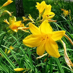 20130630_154950_HDR.jpg