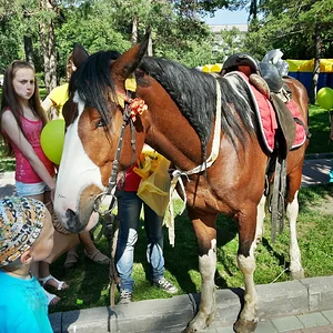 20130714_162213_HDR.jpg