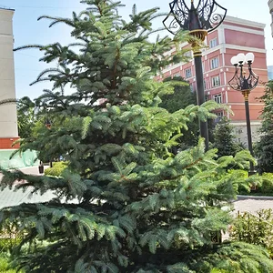 20130714_165020_HDR.jpg