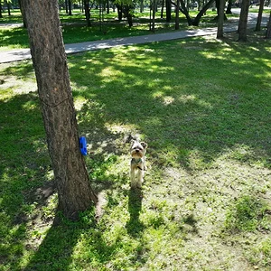 20130714_170132_HDR.jpg