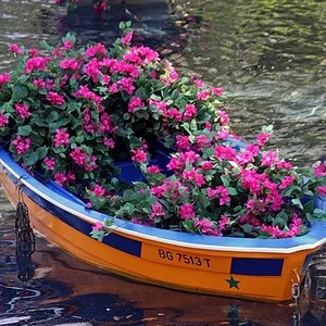 лодка цветов.jpg