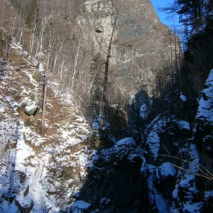 Recoverd_jpg_file(8737).jpg
