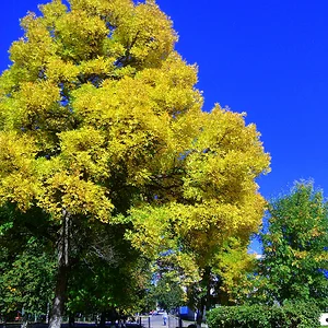 IMG_20130906_140010.jpg