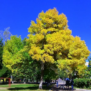 IMG_20130906_140027.jpg