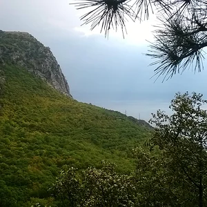 WP_20130903_076.jpg