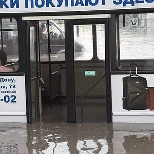 hjcnjd1.jpg