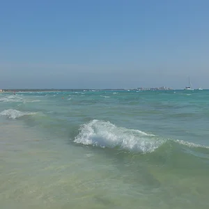 DSC08546-1.jpg