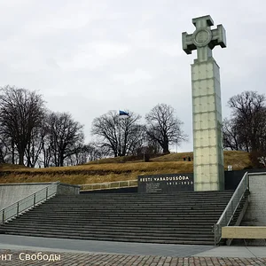 DSC05521-1.jpg