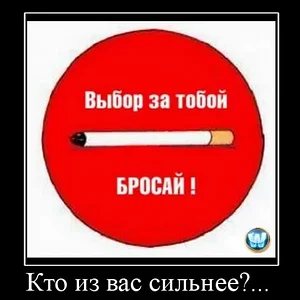 Снимок экрана 2013-08-15 в 13.51.21.png
