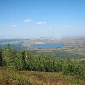11.JPG