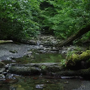 z_7941f986.jpg