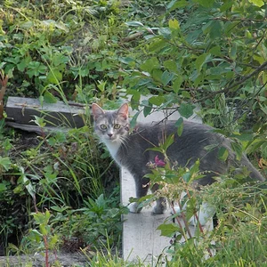 DSCN2388.JPG