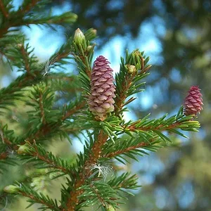 DSCN0418.JPG