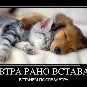 getImage (57).jpg