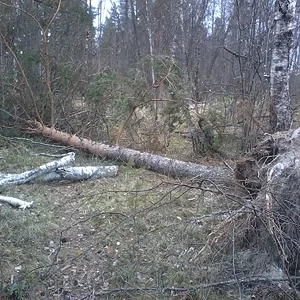 20140509_164437.jpg