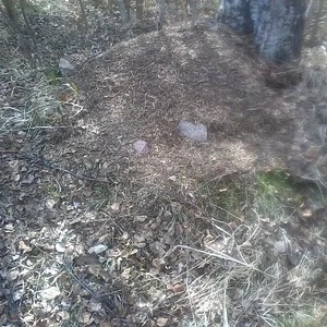 20140509_155839.jpg