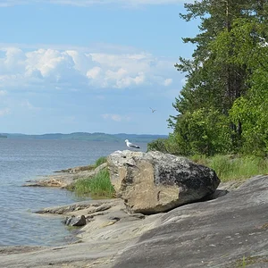 DSC_0908.JPG